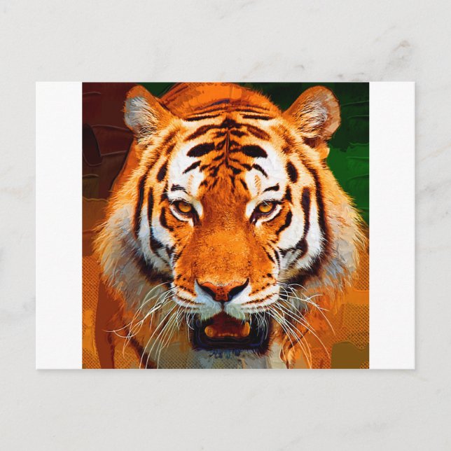 Cartão Postal Tigre (Frente)