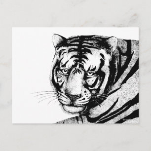 CARTÃO POSTAL TIGRE