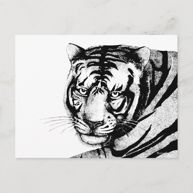 CARTÃO POSTAL TIGRE (Frente)