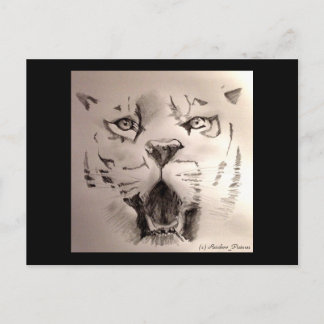 Cartão Postal Tigre