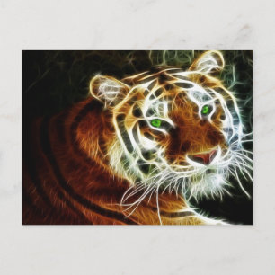 Cartão Postal Tigre 3