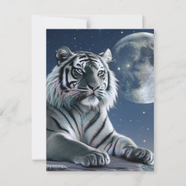 Cartão Postal Tigre branco