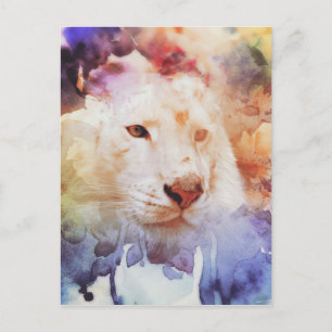 Cartão Postal Tigre Branco