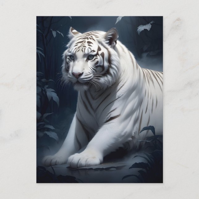 Cartão Postal tigre branco à noite (Frente)