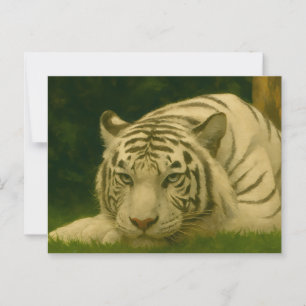 Cartão Postal Tigre Branco Descendo em Woodland Shade