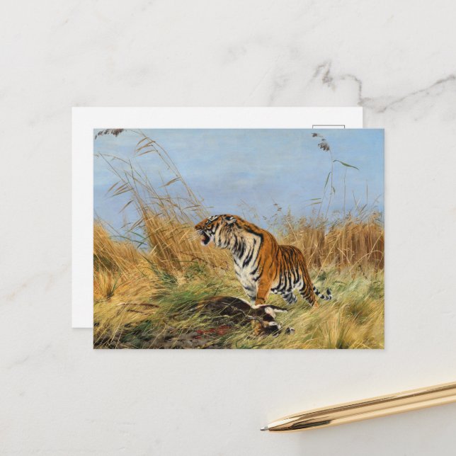 Cartão Postal Tigre com Waterbuck morto por Richard Friese (Frente/Verso In Situ)