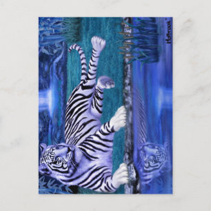 CARTÃO POSTAL TIGRE DA SELVA.JPEG