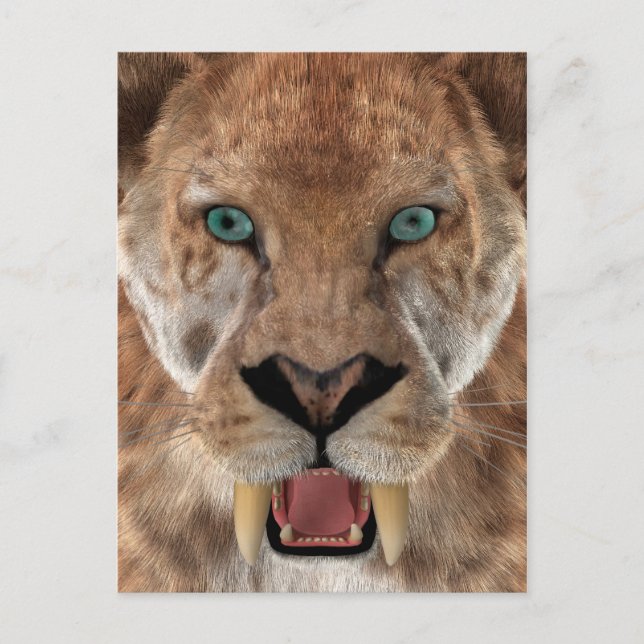 Cartão Postal Tigre de dentes Saber ou Smilodon (Frente)