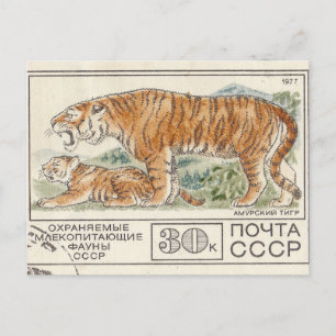 Cartão Postal Tigre de punho soviético