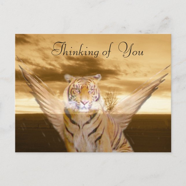 Cartão Postal Tigre do Amor_ (Frente)