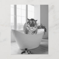 Tigre em Bathtub Black White Bathroom art