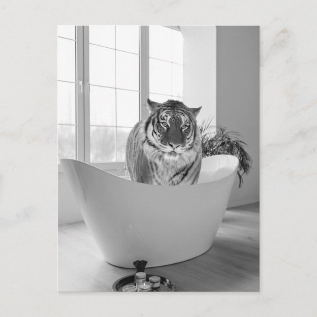 Cartão Postal Tigre em Bathtub Black White Bathroom art (Frente)