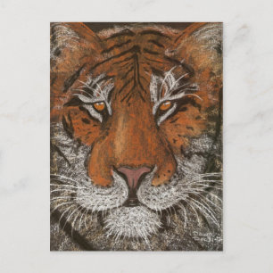 Cartão Postal tigre noturno