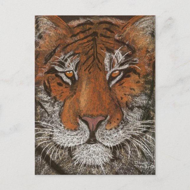 Cartão Postal tigre noturno (Frente)