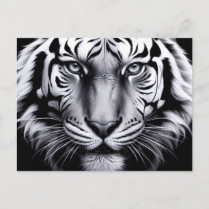 Cartão Postal tigre preto e branco (atualização)