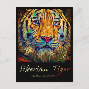 Cartão Postal Tigre Siberiano [Cartão postal]