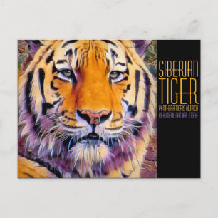 Cartão Postal Tigre Siberiano [Cartão postal]