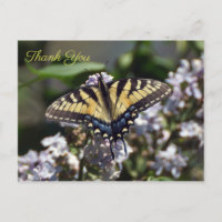 Tigre Swallowtail Butterfly Obrigado Cartão-Postal