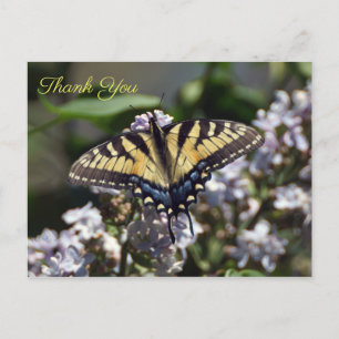 Cartão Postal Tigre Swallowtail Butterfly Obrigado Cartão-Postal