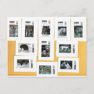 Cartão Postal Tigres de todas as 4 cores