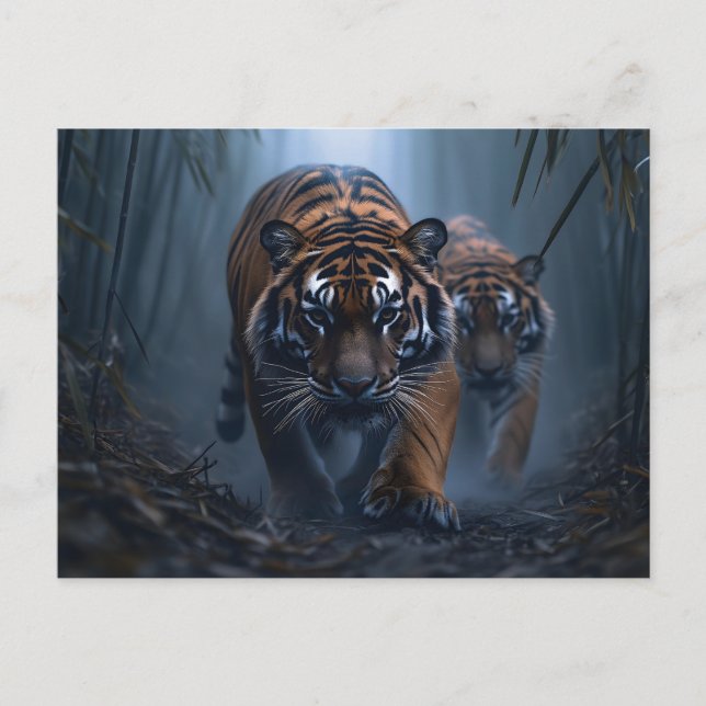 Cartão Postal Tigres Majestosos em uma Selva Foggy (Frente)