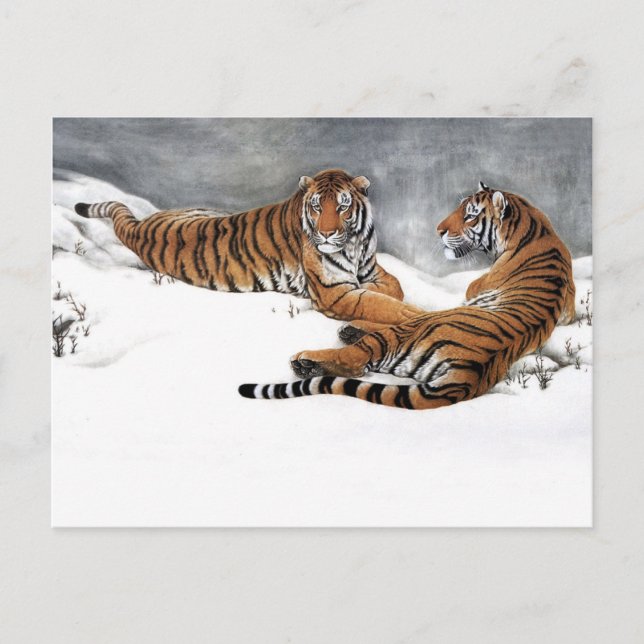 Cartão Postal Tigres na neve, Arte Chinesa Clássica (Frente)