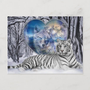 Cartão Postal tigrezinho