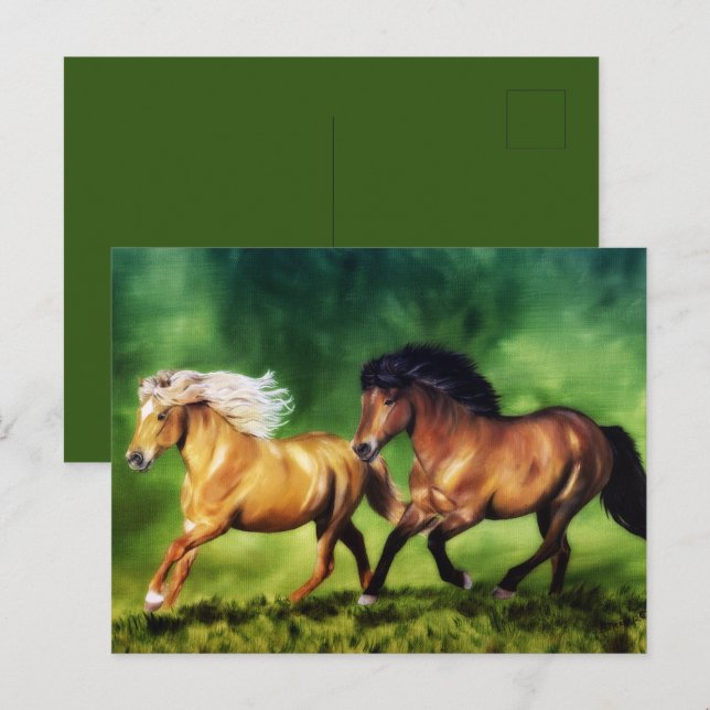 Cartão Postal Time dos Sonhos-Cavalos Islandeses (Frente/Verso)