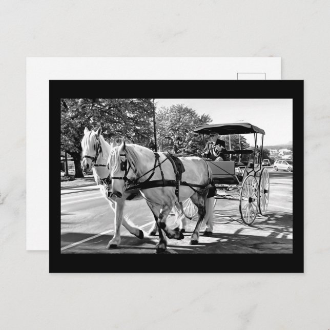 Cartão Postal Timeless Journey (Frente/Verso)