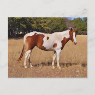 Cartão Postal Tinta