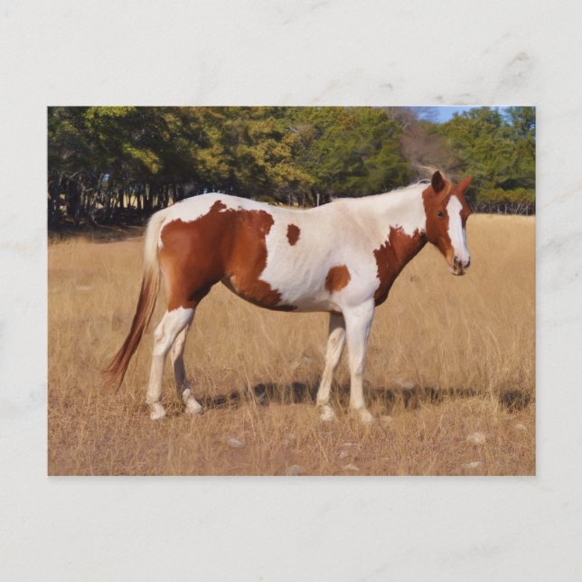 Cartão Postal Tinta (Frente)