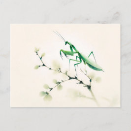 Cartão Postal Tinta chinesa Mantis em Ginkgo