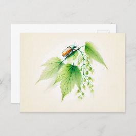 Cartão Postal Tinta chinesa pode Inseto em Linden