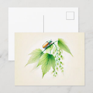 Cartão Postal Tinta chinesa pode Inseto em Linden