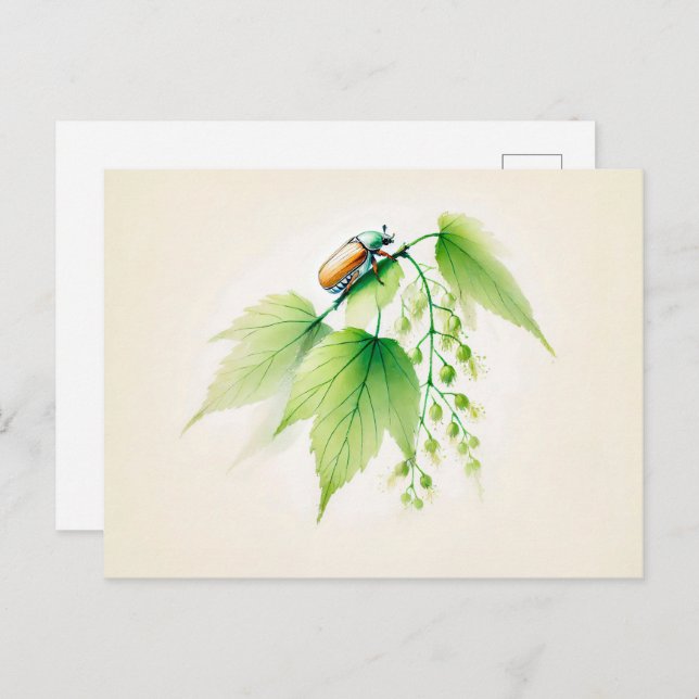 Cartão Postal Tinta chinesa pode Inseto em Linden (Frente/Verso)