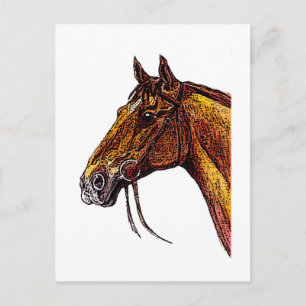 Cartão Postal Tinta de Chestnut Horse