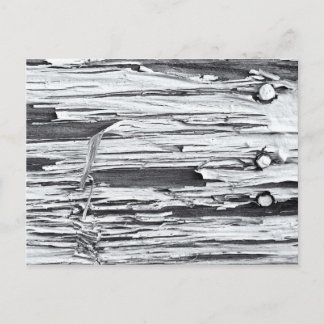 Cartão Postal Tinta de descascamento
