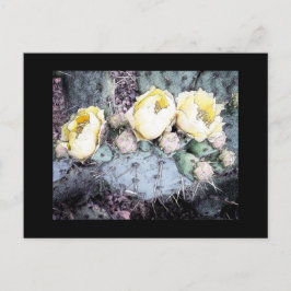 Cartão Postal Tinta digital da Flor do Cactus