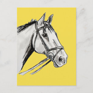 Cartão Postal Tinta e Lava Retrato de Cavalo