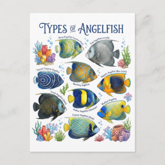 Cartão Postal Tipos de Peixes-Anjo Aquarela Arte de Peixes do Re