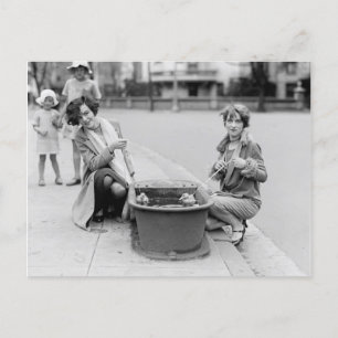 Cartão Postal Tirando Os Patos Para Uma Natação