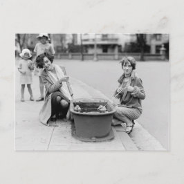 Cartão Postal Tirando Os Patos Para Uma Natação