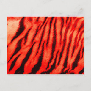 Cartão Postal Tiras de Tigre Vermelho Selvagens e Vibrantes