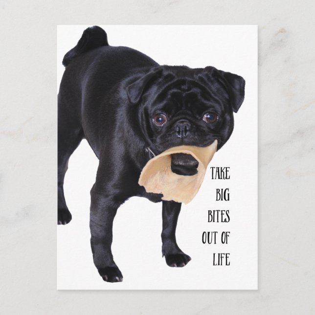 Cartão Postal Tire grandes mordidas da vida (Frente)