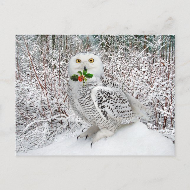 Cartão Postal "T'is The Season" (Frente)