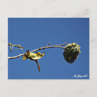 Cartão Postal tisserain gendarme et son nid