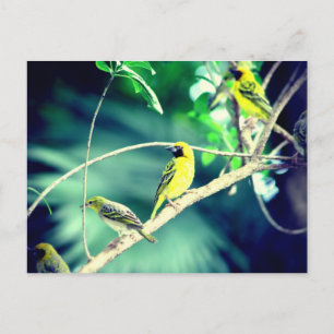 Cartão Postal Tisserin gendarme