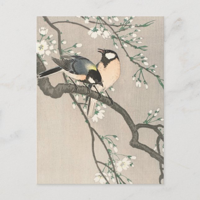 Cartão Postal Tit on Cherry Branch Painting de Ohara Koson (Frente)