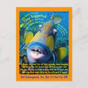 Cartão Postal Titan Triggerfish, para a criança, um humorístic