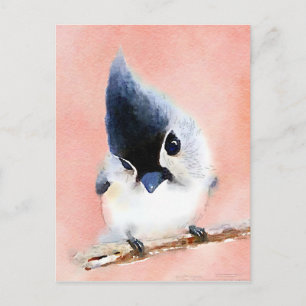 Cartão Postal Titmouse adornado